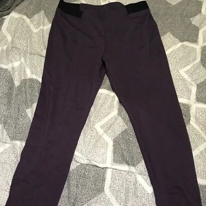 Plum Riding Pants (Leggings)